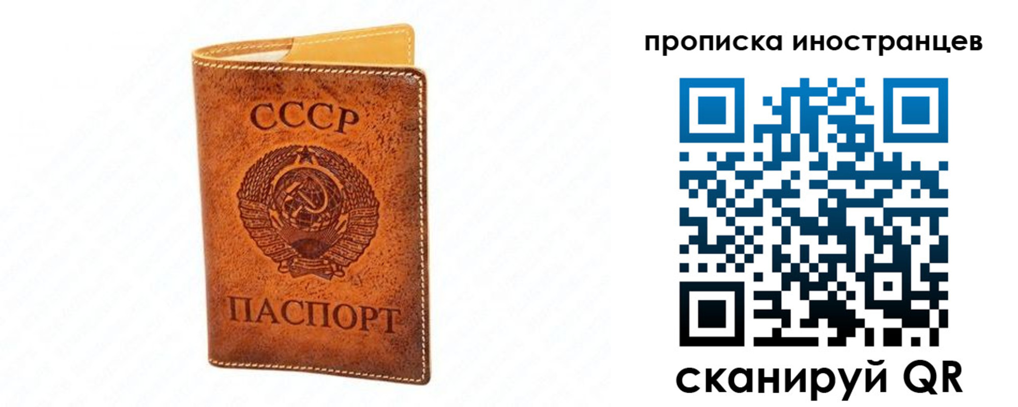 прописка для школы в Дедовске